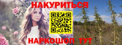 Альфа ПВП Пенза