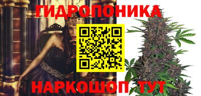 индика Первоуральск