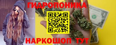 Альфа ПВП Пенза