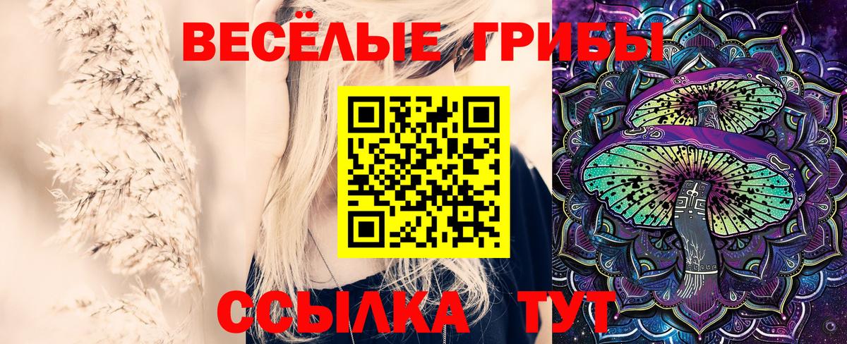 Ульяновск  Галлюциногенные грибы GOLDEN TEACHER  Псилоцибиновые грибы Psilocybe  Вход с VPN 
